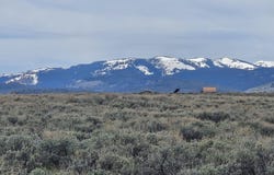 TRACT 5 E BEAVER RIDGE Road, Daniel, WY 83115