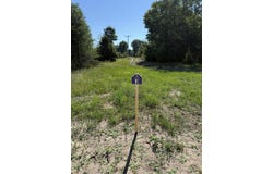 Sadie Ln, Bear Lake, MI 49614