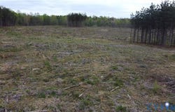 27318 Prince Edward Highway, Rice, VA 23966
