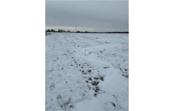 NE U Highway, Hamilton, MO 64644