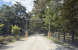 145 Black Bear Lane, Sunbright, TN 37872