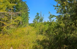 River Bend Road, Columbia, MS 39429