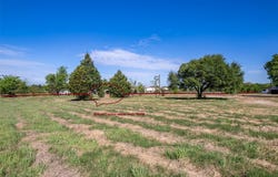 15826 County Road 2501, Eustace, TX 75124