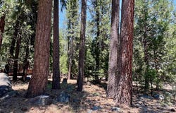 83 Paiute Trail, Graeagle, CA 96103