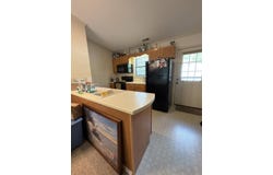 62 Mint Lake Ct E, Franklin, NC 28734