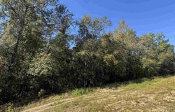 003 Van Hoosen Rd, Flomaton, AL 36441