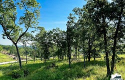 Boulder Rdg lot: 40A, Eagle Rock, MO 65641