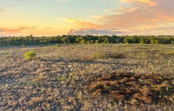 TBD 1 Phillips Street, Marlin, TX 76661