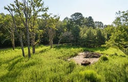 1087 CR 318, San Augustine, TX 75925