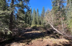 4-L-6 Winding Way, McCloud, CA 96057