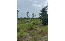 Kennedy Bridge Road, Register, GA 30452