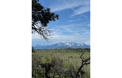 TBD TBD, Placerville, CO 81430