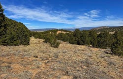 County Rd 572, Gardner, CO 81040