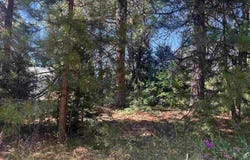 2 Lots on Hercules, Mount Shasta, CA 96067