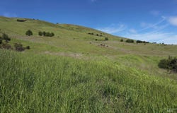 Sunnyside Bench Road, Lenore, ID 83541