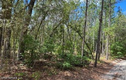 LADY BUG Lane, Melrose, FL 32666