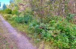 ON HERMANS LN, Argonne, WI 54511