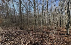 Georgee Rd, Jamestown, TN 38556