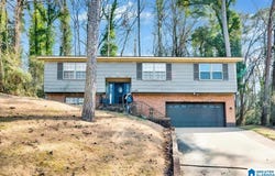 1001 TAMMY ANNE DRIVE, BIRMINGHAM, AL 35235