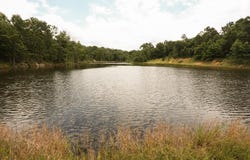 HWY NN, Mountain View, MO 65548
