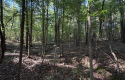 Cauthen Road, Camden, MS 39045