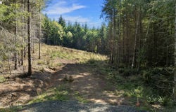 THIMBLEBERRY Dr, CastleRock, WA 98611