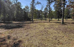 County Road 380 lot: 6, Centre, AL 35960