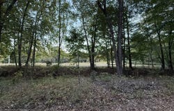 426 H W McPherson Road, Lewisburg, KY 42256