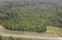 Bogue Chitto Road, Bogue Chitto, MS 39629