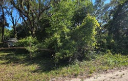 Old Town, FL 32680
