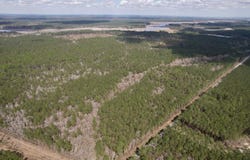 Tract C - TBD Pennyroyal Rd., Georgetown, SC 29440