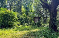 MS HWY 587, Foxworth, MS 39483