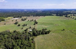 Spires Rd., Damascus, AR 72036-9