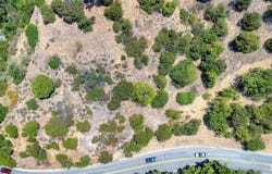 2813 Benedict Canyon Dr, Beverly Hills, CA 90210