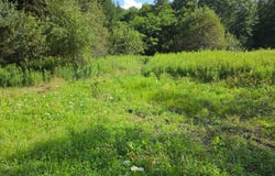 1WP Route 221, Lapeer, NY 13803