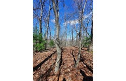 Quail Run Ridge, Murphy, NC 28906