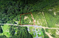 Gilmore Mine Road lot: A, Cottondale, AL 35453