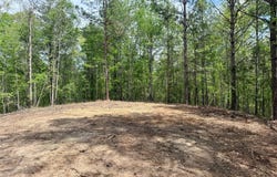 Co Rd 3022, Double Springs, AL 35553