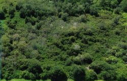 Alford, FL 32420