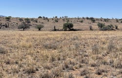 Hillcrest Drive, Elgin, AZ 85611