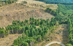 NW John Lee Rd, Buxton, OR 97109