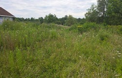 762 County Rd 19, Norwich, NY 13815