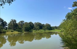 3196 Raborn Rd, Magnolia, MS 39652