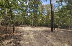 County Road 521, Hardenville, MO 65666