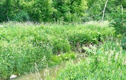VL BRAIDWOOD PARCEL 3 Road, Riley, MI 48041