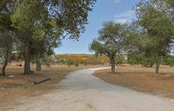 1437 Shasta Way, Boulevard, CA 91905