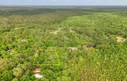 0.17 AC Tango Ln, Harold, FL 32563