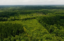 Brand Road, Newton, MS 39345