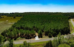 Hwy. 31, Romance, AR 72136-0000