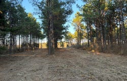 FM 250, Naples, TX 75568